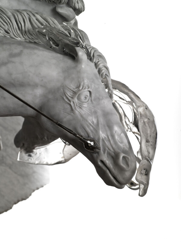 Particolare, profilo testa di cavallo con vetro
